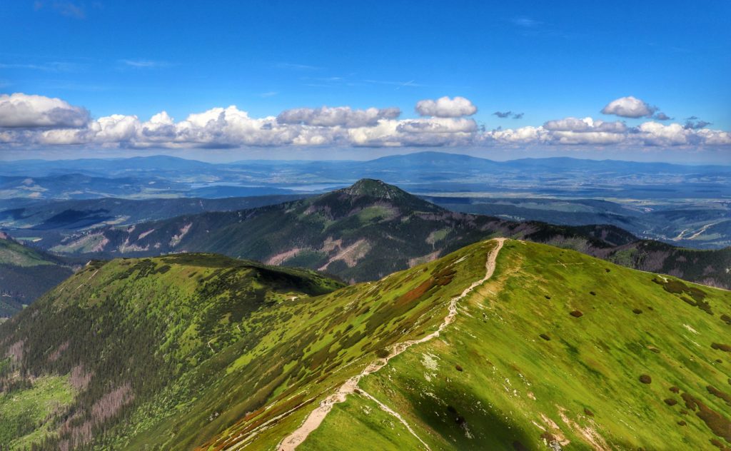 Widok w drodze na Wołowiec w stronę szczytu Rakoń, letnie, zielone Tatry