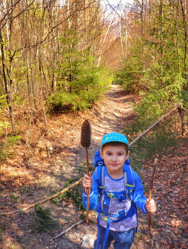 Zadowolone dziecko, mały turysta na leśnej drodze w Beskidzie Żywieckim, dziecko trzyma w dłoniach patyki