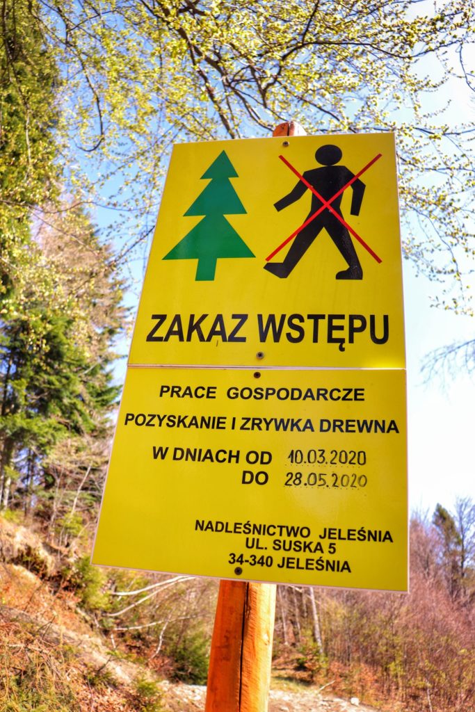 Żółta tablica w drodze na Czupel z Łodygowice ostrzegająca przed pracami gospodarczymi na terenie lasów Łodygowice