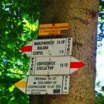 Żółta tablica wisząca na drzewie oznaczająca POD PRZYSŁOPEM, skrzyżowanie szlaków czerwonego z żółtym