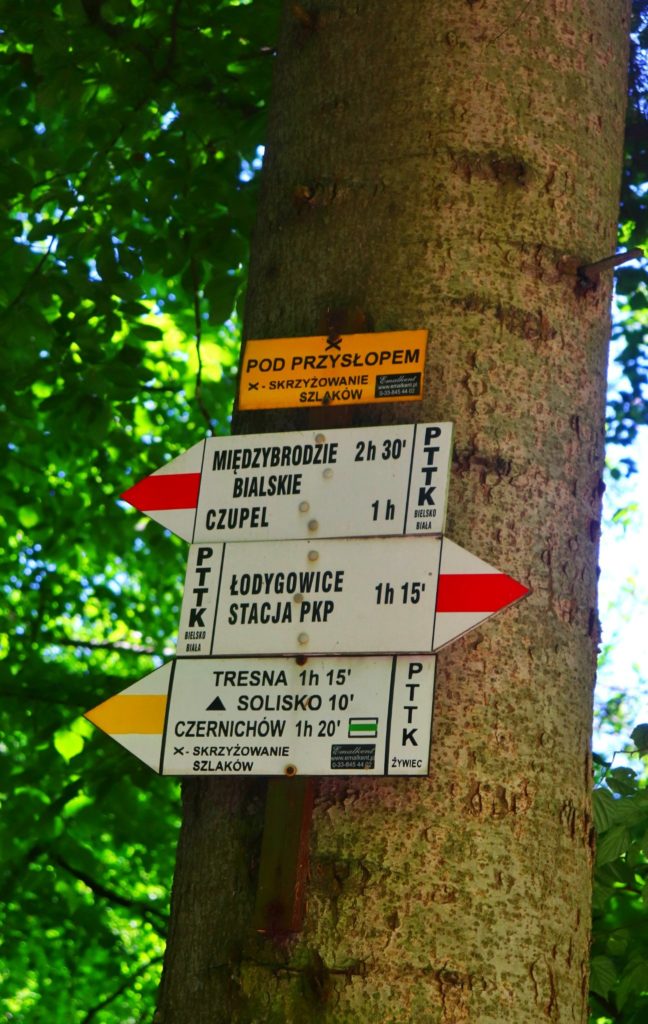 Żółta tablica wisząca na drzewie oznaczająca POD PRZYSŁOPEM, skrzyżowanie szlaków czerwonego z żółtym
