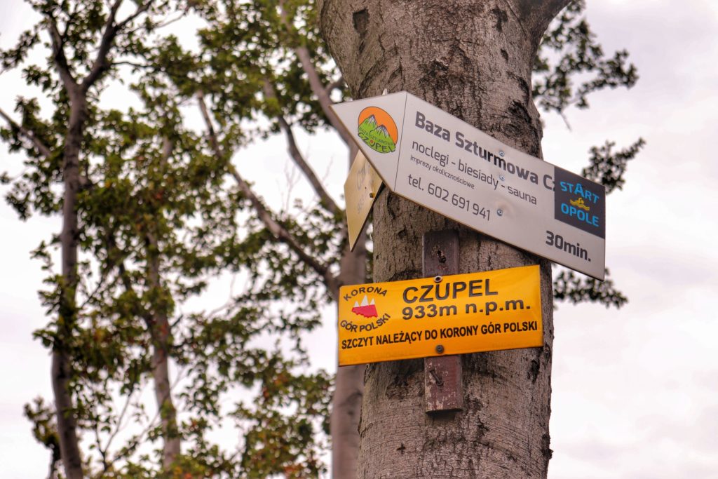 Żółta tabliczka przyczepiona do drzewa na szczycie Czupel, Beskid Mały z napisem Czupel 933 m n.p.m.