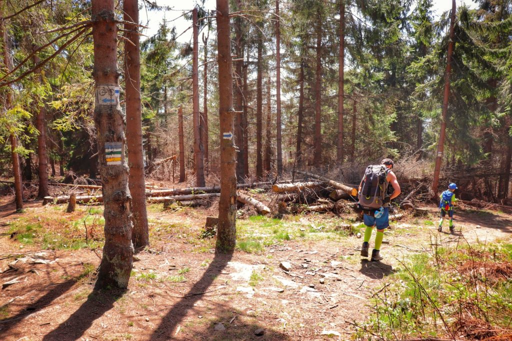 Ścieżka leśna schodząca w dół na szlaku zielonym oraz żółtym na Polanę Stumorgową ze szczytu Mogielicy, turyści - mężczyzna i dziecko