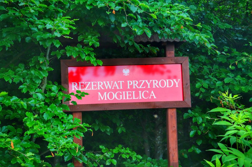 Czerwona tablica z białym napisem - Rezerwat Przyrody Mogielica
