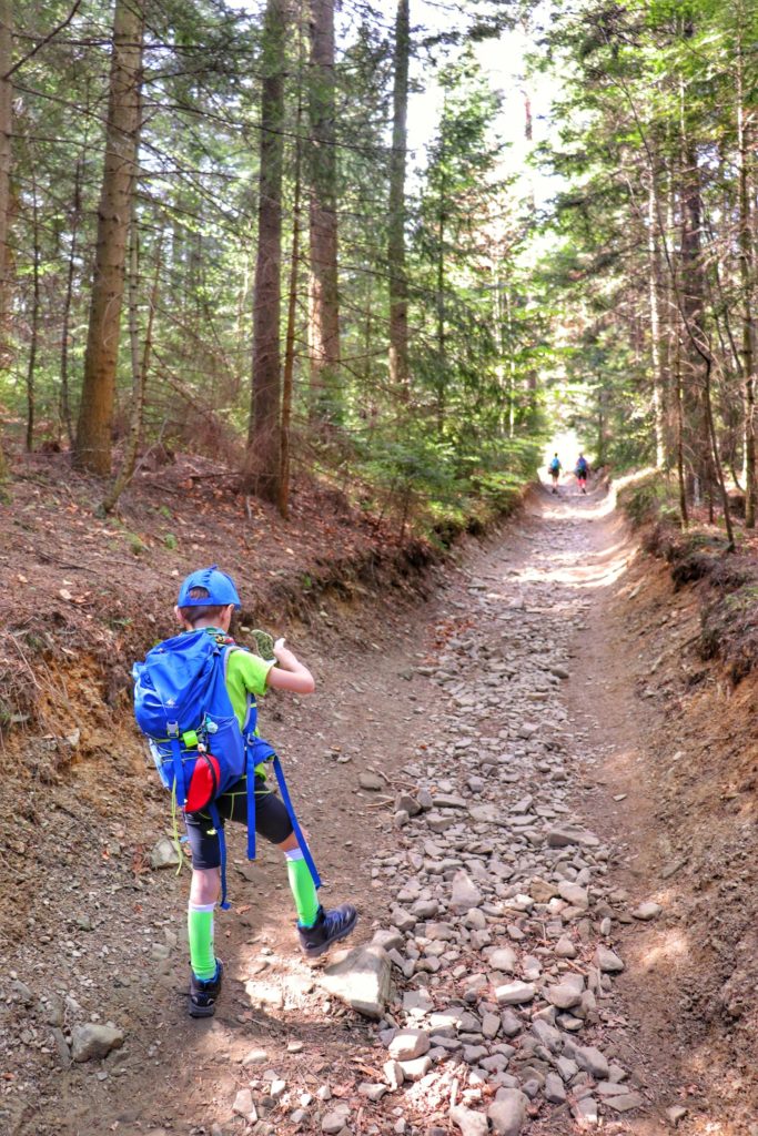 Dziecko idące kamienistą ścieżką leśną