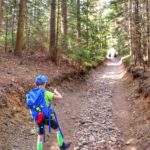 Dziecko idące kamienistą ścieżką leśną