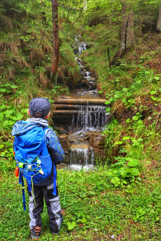 Dziecko podziwiające nieduży wodospad, las