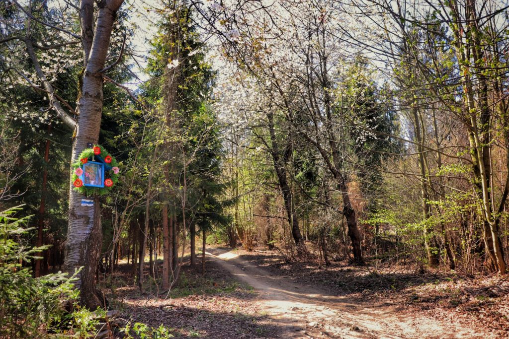 Kapliczka leśna na niebieskim szlaku, Wieś Trzebinia