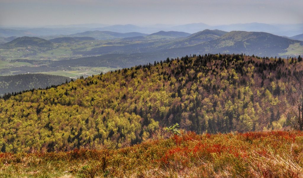 Krajobraz górski rozciągający się z polany leżącej na zielonym szlaku na Mogielicę