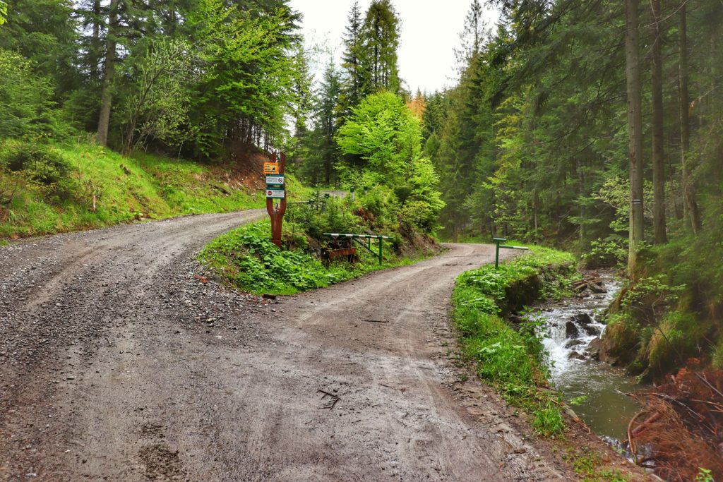 Leśna droga w Żabnicy, miejsce odbicia szlaku czarnego w prawo, szlaban