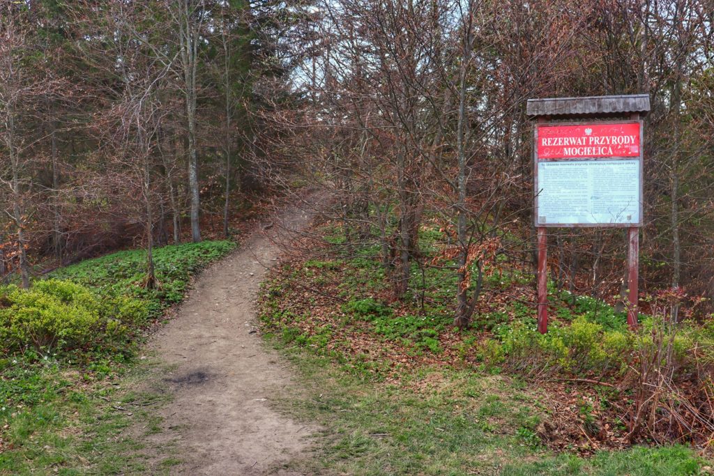 Miejsce wejścia do lasu na zielonym szlaku na szczyt Mogielica, czerwona tablica informująca o początku terenu Rezerwatu przyrody Mogielica