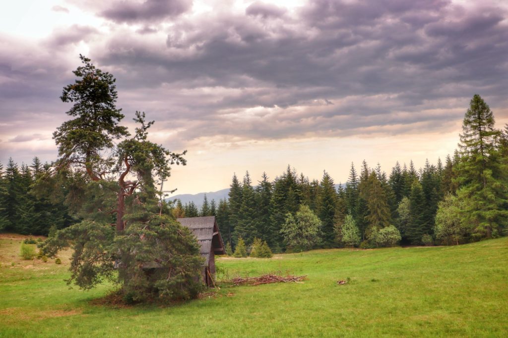 Polany Moczarnikowskie na tle zachmurzonego nieba, chatka stojąca za drzewem na polanie
