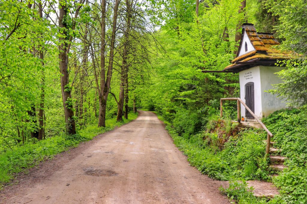 Szeroka droga., po prawej stronie mała, urocza kapliczka leśna na zielonym szlaku na Sokolicę