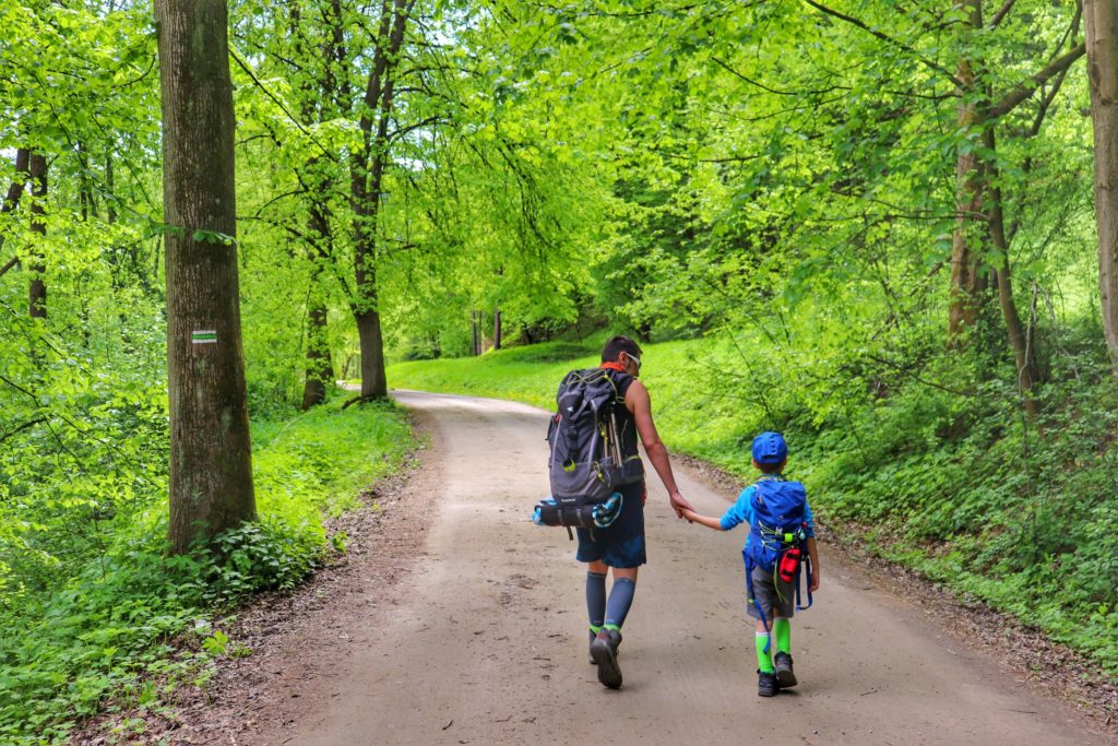 Turysta idący z dzieckiem zielonym szlakiem z Krościenka na Sokolicę, szeroka droga leśna