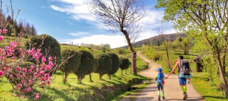 Mogielica szczyt – szlak z Chyszówek, Beskid Wyspowy