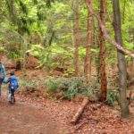 Turysta z dzieckiem idący czarnym szlakiem, leśna ścieżka