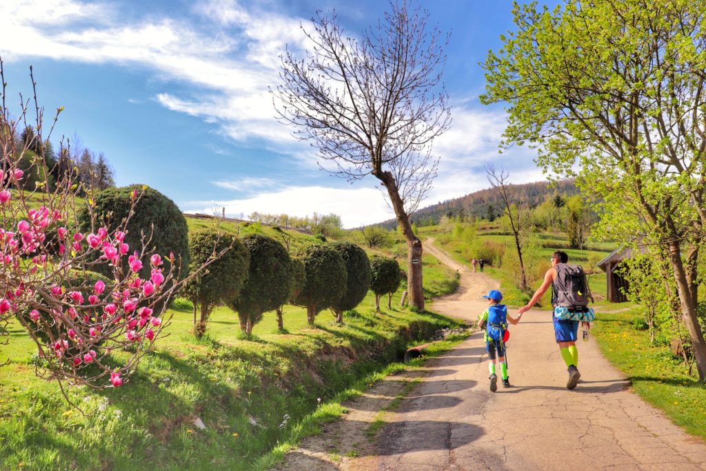 Turysta z dzieckiem idący zielonym szlakiem na Mogielicę, piękny, wiosenny dzień, zielone drzewa