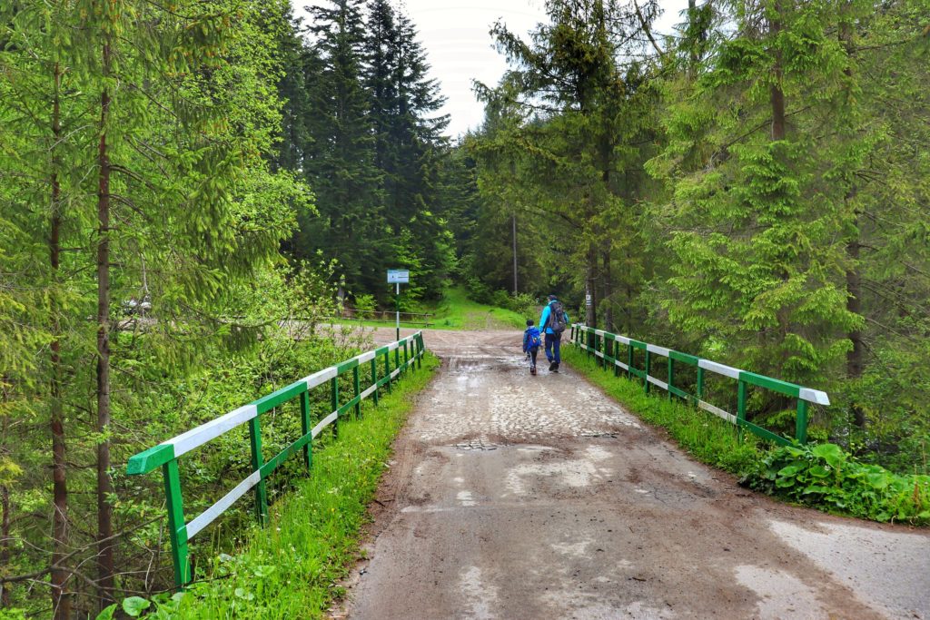 Turysta z dzieckiem przechodzący przez most na czarnym szlaku na Słowiankę