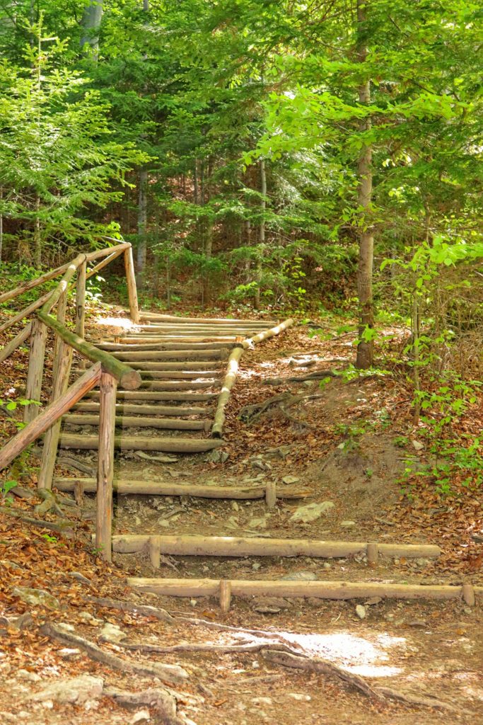 Drewniane schody w lesie idące od Przełęczy Szopka