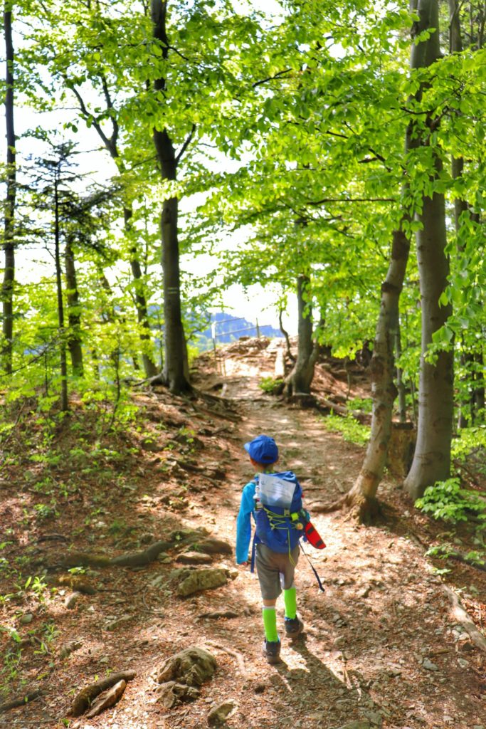 Dziecko idące leśną ścieżką w stronę punktu widokowego w Pieninach