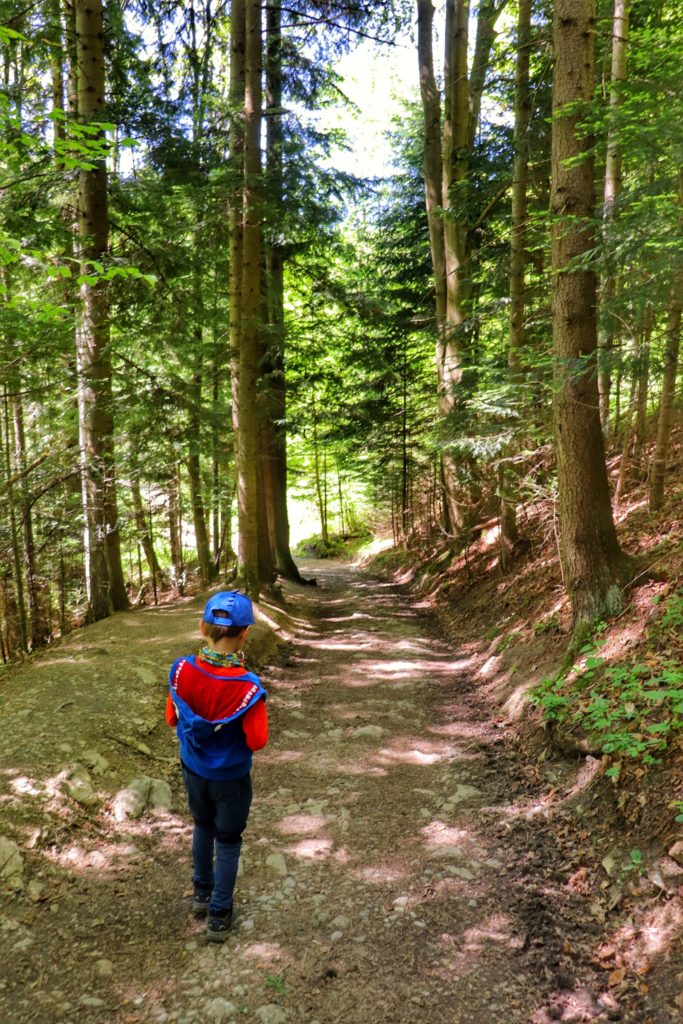 Dziecko idące leśną ścieżką w kierunku Pienińskiego Potoku, słoneczne popołudnie
