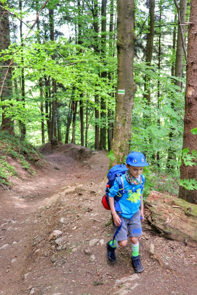 Dziecko maszerujące zielonym szlakiem na Sokolicę, leśną ścieżka