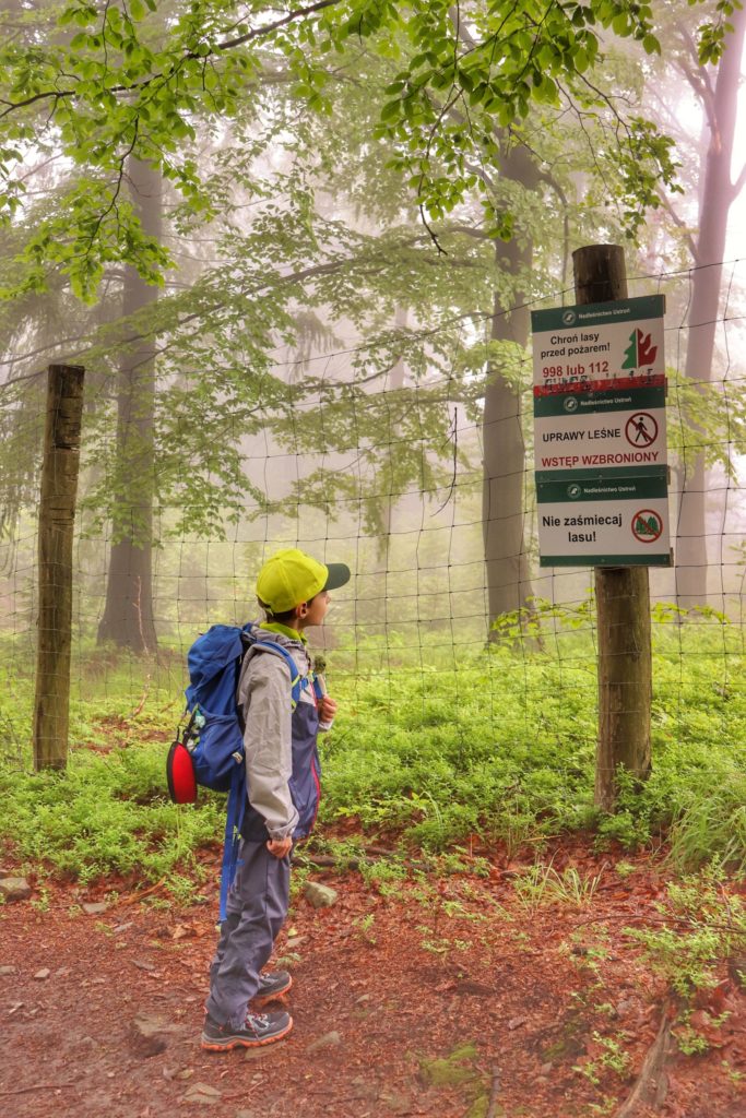 Dziecko na szlaku, leśna ścieżka, tablice nadleśnictwa z zakazem palenia ognisk, śmiecenia