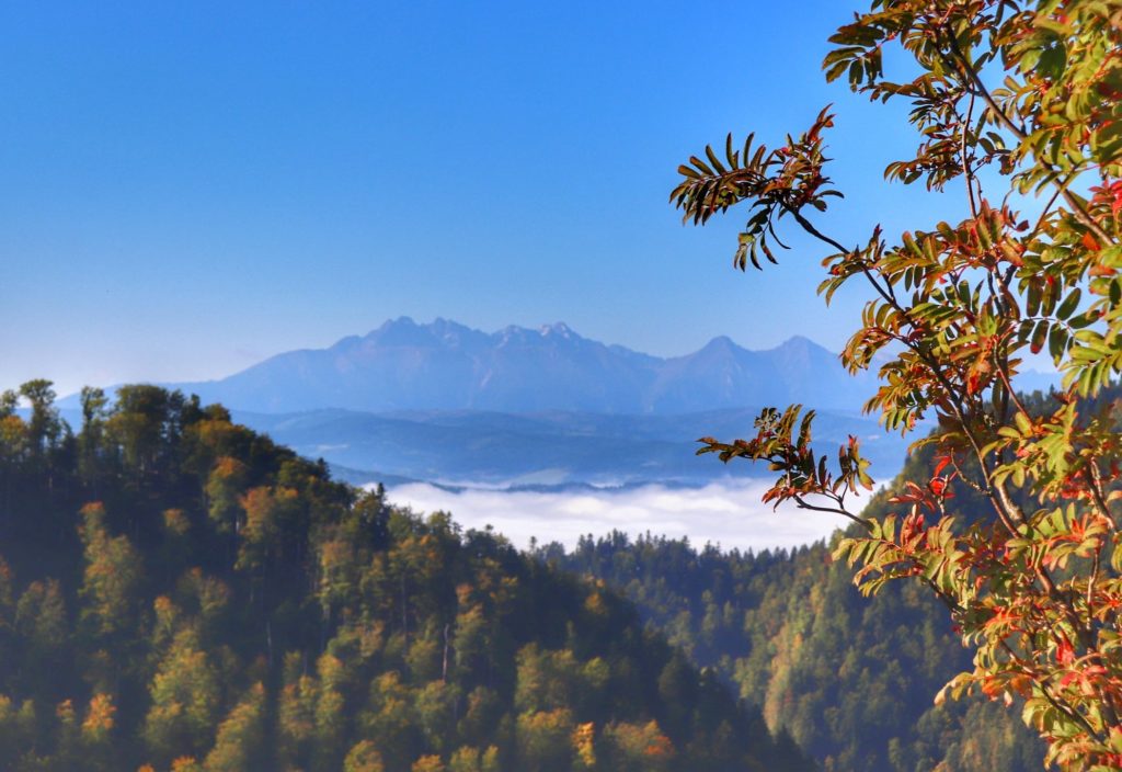 Jesienny widok na Tatry z Sokolicy w Pieninach