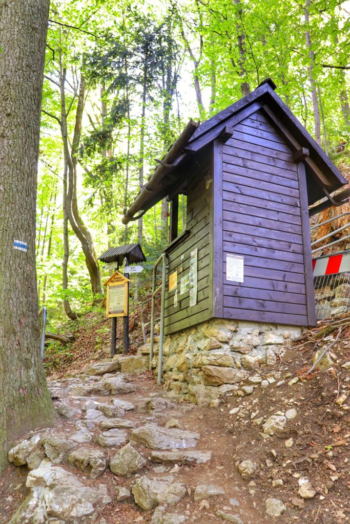 Kasa Pieniński Park Narodowy na Sokolicy, niebieski szlak