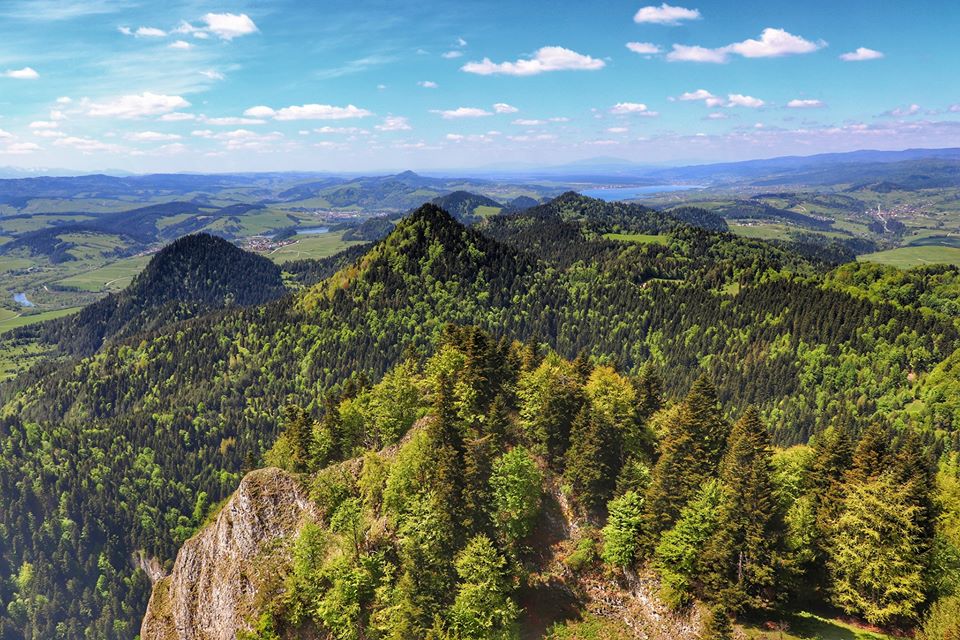 Krajobraz górski rozciągający się ze szczytu Trzy Korony