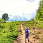 Krościenko nad Dunajcem, dziecko idące polaną