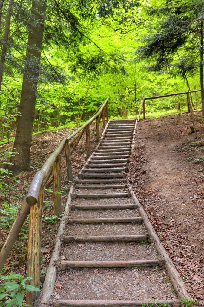 Las, drewniane schody na zielonym szlaku na Sokolicę
