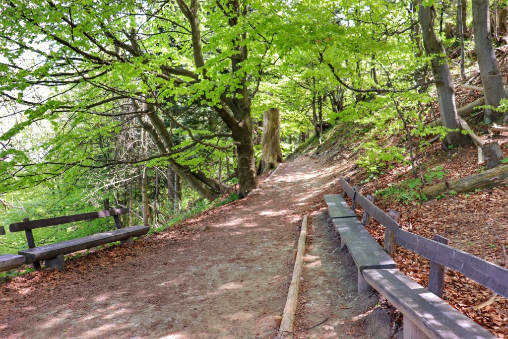 Las, miejsce wypoczynku (ławki) przygotowane z myślą o strudzonych turystach pod szczytem Trzy Korony