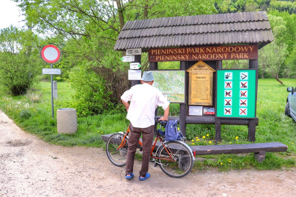 Mężczyzna z rowerem patrzący na mapę Pienińskiego Parku Narodowego na zielonym szlaku na Sokolicę