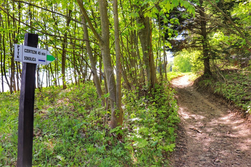 Miejsce odbicia zielonego szlaku na Czertezik oraz dalej niebieskiego na Sokolicę, leśna ścieżka