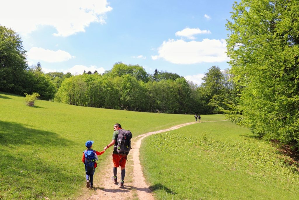 Obszerna polana na pienińskim szlaku, mężczyzna z dzieckiem idący wzdłuż polany, w oddali dwójka innych turystów