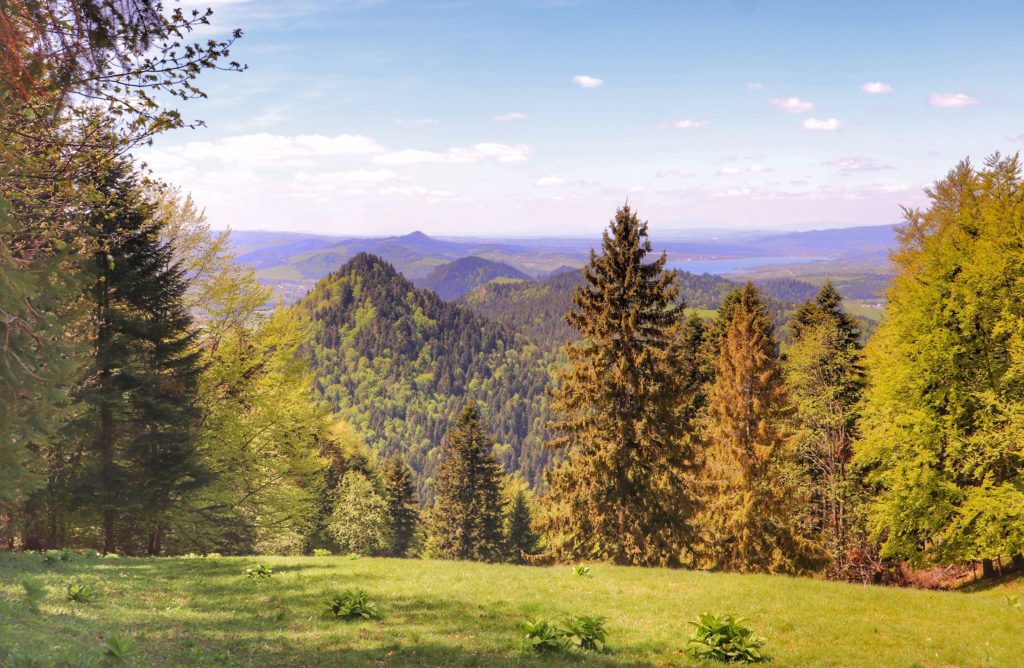 Polana, krajobraz górski, Pieniny
