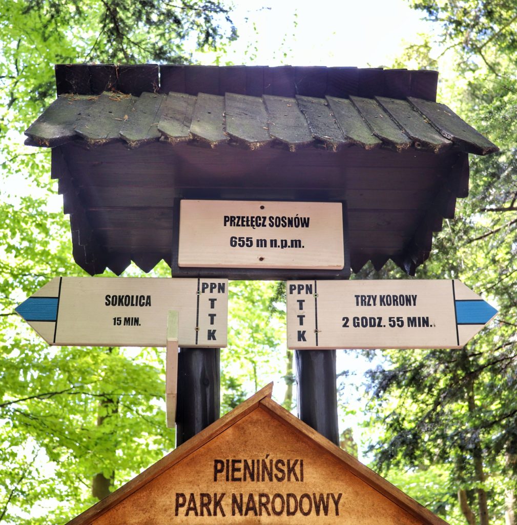 Przełęcz Sosnów 655 m n.p.m. opis szlaku niebieskiego na Sokolicę oraz w przeciwnym kierunku na Trzy Korony, drogowskaz