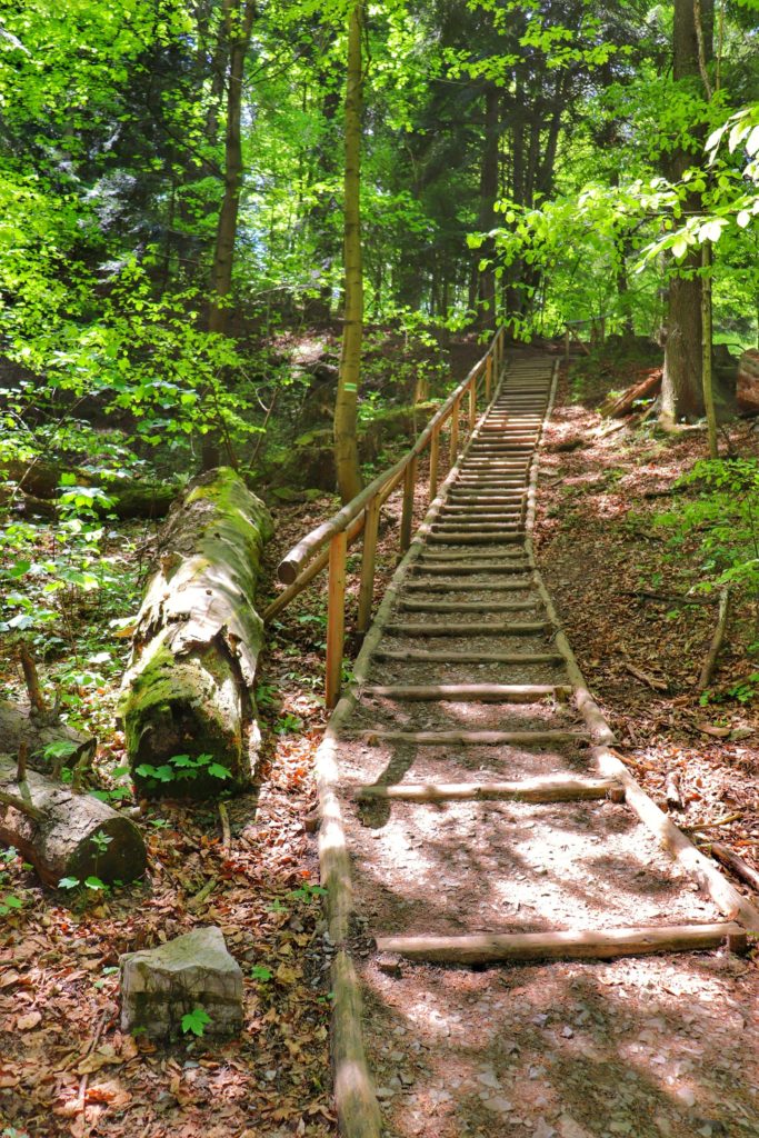 Schody, las, zielony szlak na Sokolicę
