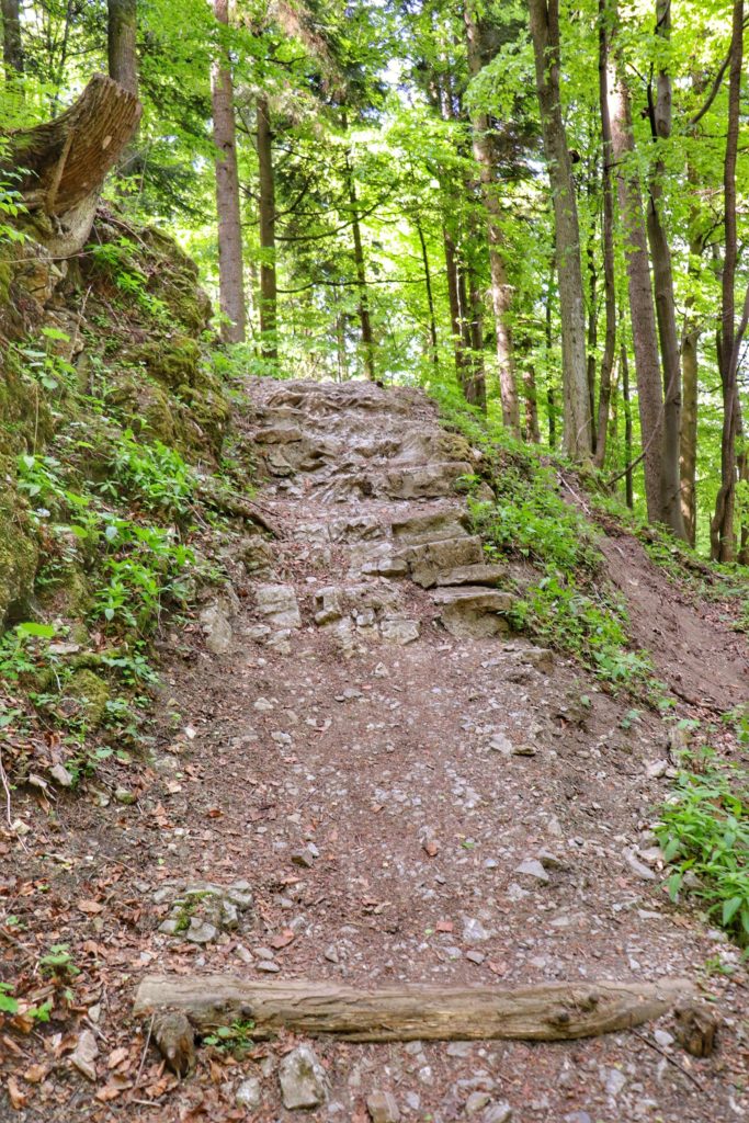 Strome skalne podejście na szlaku w Pieninach