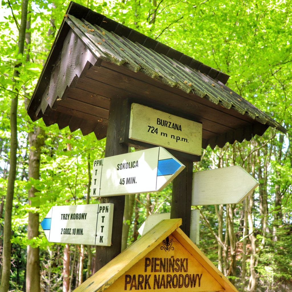 Szczyt Burzyna w Pieninach, drogowskaz, opis szlaków idących ze szczytu