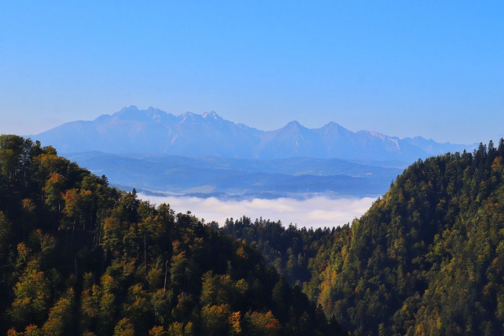 Tatrzańskie szczyty widziane z Sokolicy w Pieninach