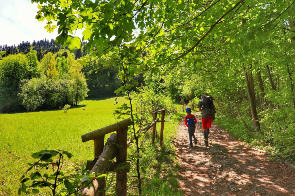 Turysta z dzieckiem idący szeroką drogą, po lewej stronie drewniany płot, droga prowadzi do Przełęczy Szopka