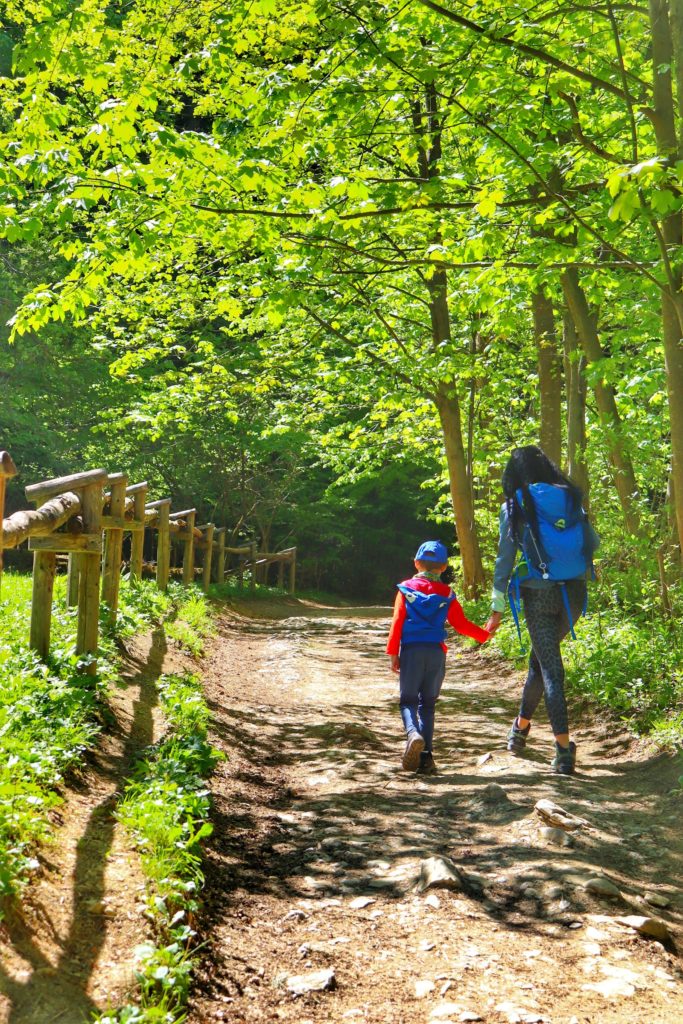 Turystka idąca z dzieckiem wzdłuż drewnianego płotu znajdującego się po lewej stronie, leśną ścieżką, piękny, słoneczny dzień