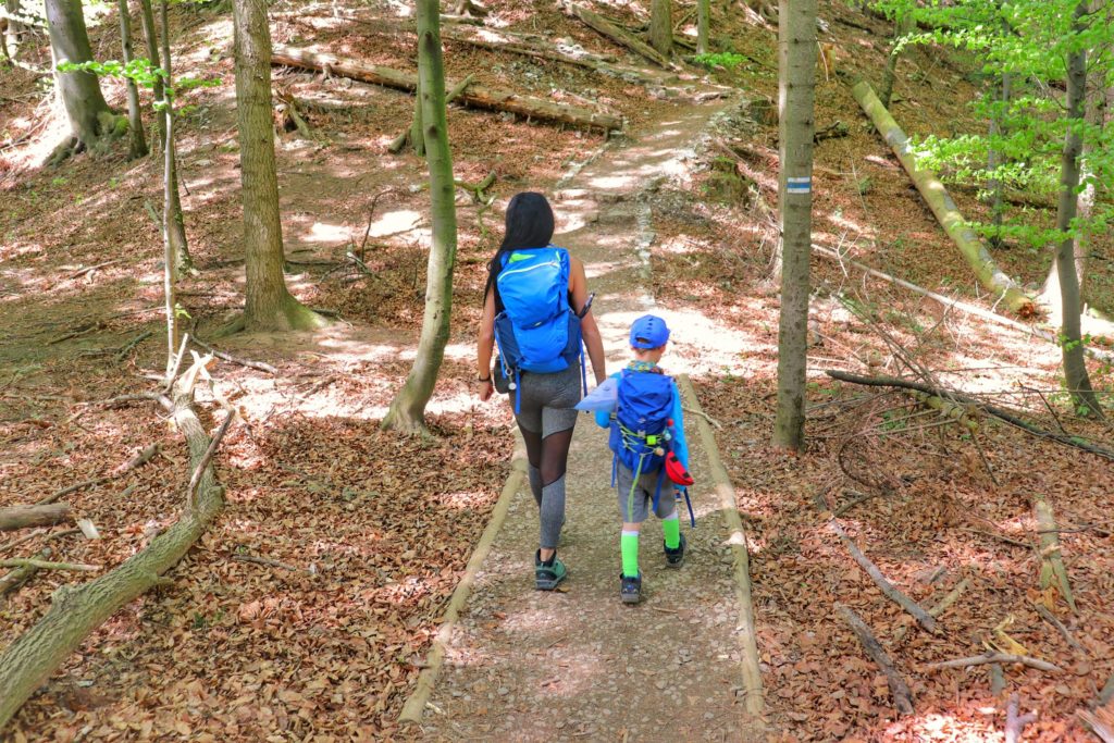 Turystka z dzieckiem idąca niebieskim szlakiem z Sokolicy do Przełęczy Sosnów, ścieżka prowadząca przez las