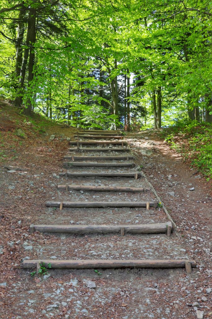 Ułatwienia na szlaku na Trzy Korony w postaci drewnianych schodów, leśna droga