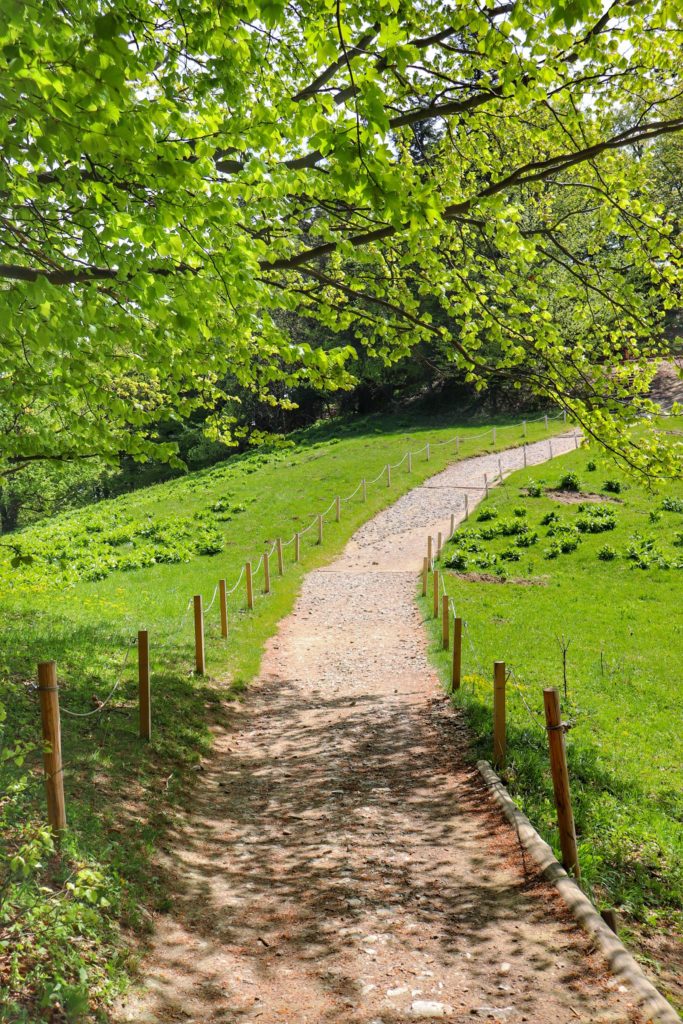 Wygodna ścieżka prowadząca do kasy pienińskiego Parku Narodowego na Trzech Koronach, zieleń, słoneczny dzień