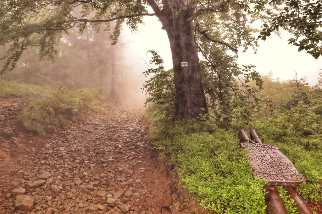 Ścieżka leśna, kamienista nawierzchnia, zielony szlak na Błatnią, po prawej stronie ścieżki przewrócona reklama Ranczo Błatnia