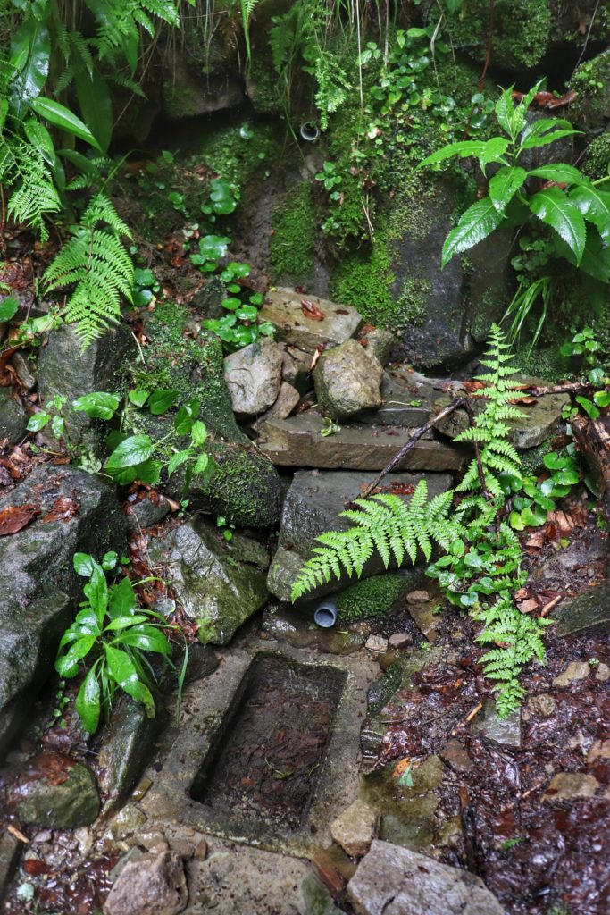 Źródełko Maryjne przy szlaku na Hrobaczą Łąkę, las