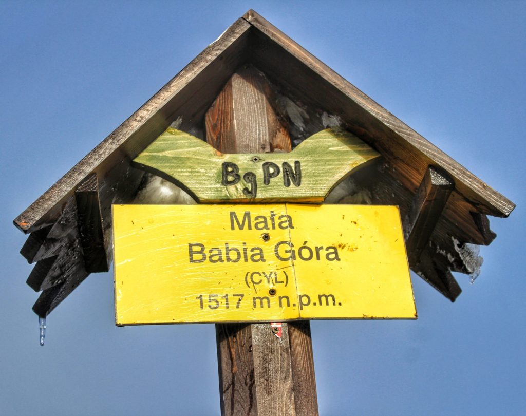 Żółta tabliczka w Babiogórskim Parku Narodowym z napisem Mała Babia Góra - CYL 1517 m n.p.m.